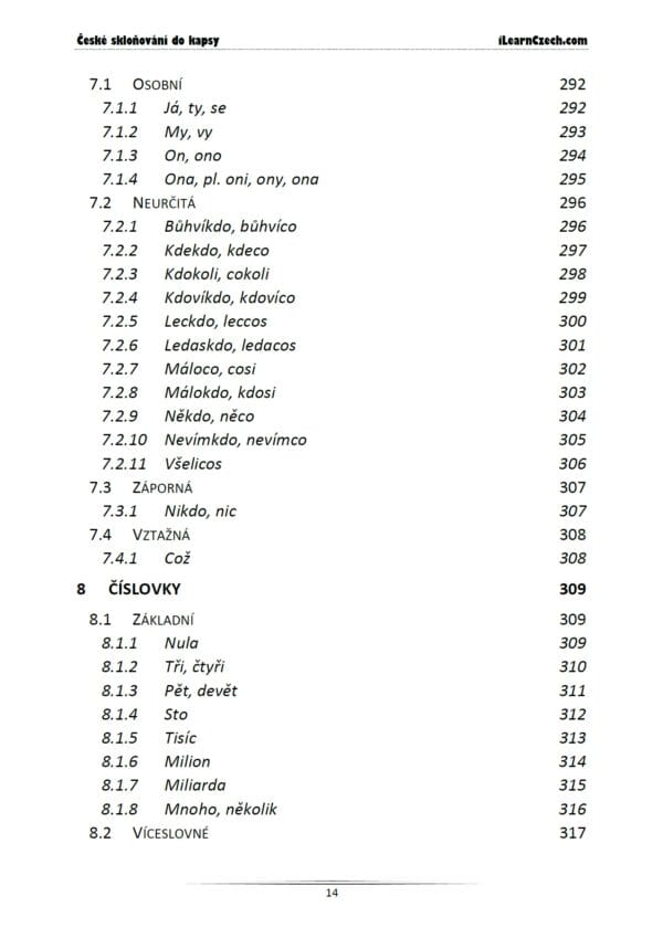 České skloňování do kapsy - Image 13