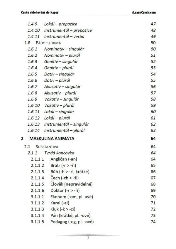 České skloňování do kapsy - Image 3