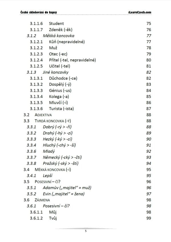 České skloňování do kapsy - Image 4