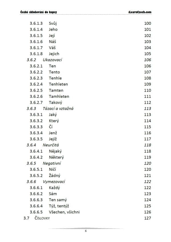 České skloňování do kapsy - Image 5