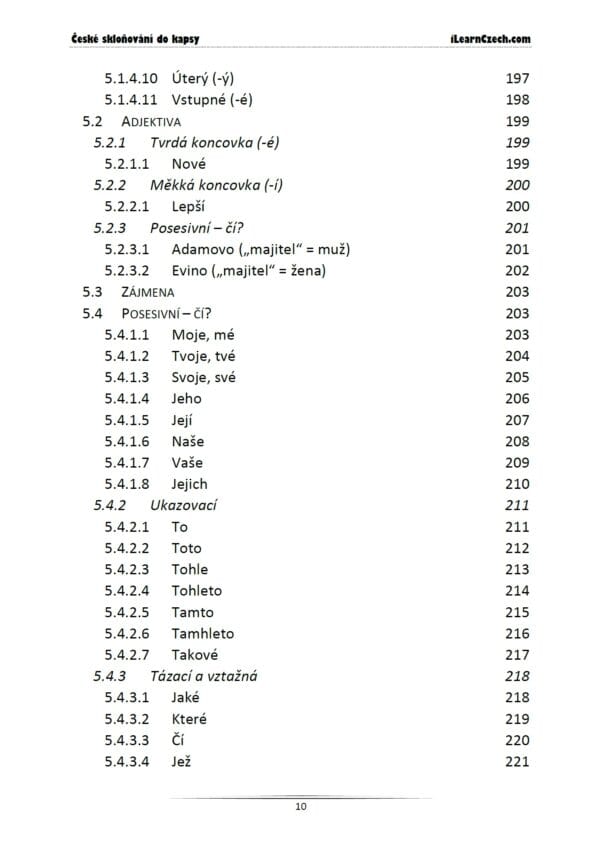 České skloňování do kapsy - Image 9