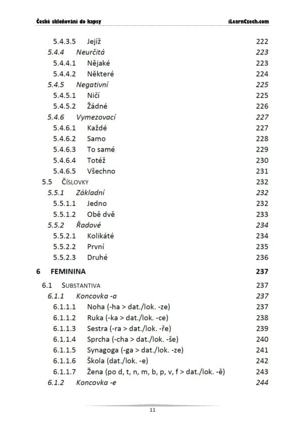 České skloňování do kapsy - Image 10